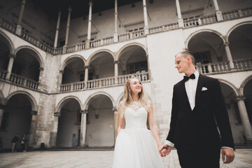 Fototapeta premium Wedding couple bride and groom holding hands