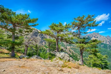 Fotobehang Col de Bavella Korsika © Harald Tedesco