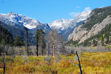 Fototapeta premium A stream coursing through the Rocky Mountains