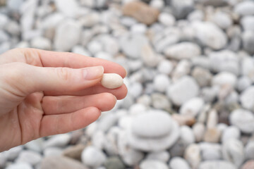 White pebbles stones background. Hand holding white pebbles. White stones on the beach
