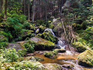 Lohnfall Rappottenstein Waldviertel Niederosterreich Österreich