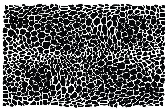 179,528 Reptile Scales Images, Stock Photos, 3D objects, & Vectors