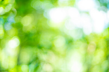 Green background blurs many circles.