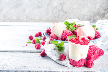 Homemade raspberry yogurt popsicle