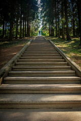 Woman on the stairs in the park of the city of Peterhof in Russia.