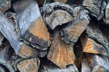 Texture wooden logs on dark background.Wooden background.