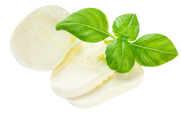 Mozzarella cheese with basil leaves  isolated on white background. Slices of Mozzarella .