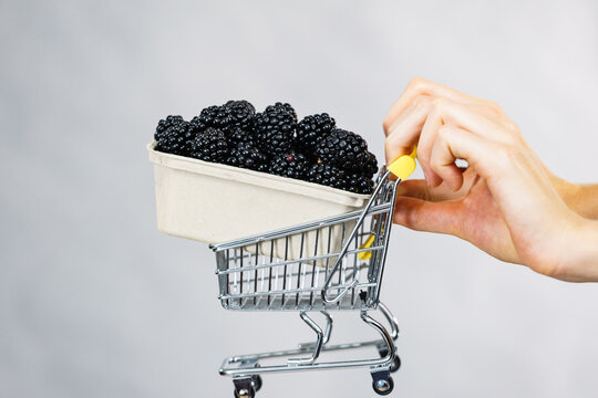 Hand Holds Blackberry Fruits In Shopping Cart