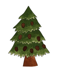 Dark green forest spruce with cones as symbol of Happy New Year, Merry Christmas holiday celebration. Watercolor cartoon hand drawn illustration.