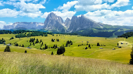 Summer view over the Seiser Alm alpine meadow in the Dolomites of Italy