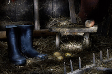 The interior of a dilapidated barn with outdated items, tools, a bench, a rake, boots on straw. Village life. Rural still life with interesting lighting.