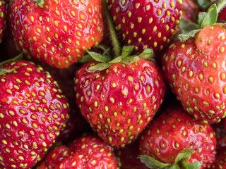 Freshly picked sweet red strawberries with cuttings close-up. Strawberry background. Food background. Vegetarian snack. View from above. Wallpaper. Horizontally