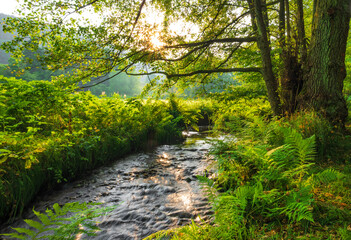 Klimaneutral in die Zukunft - Net Zero 2050