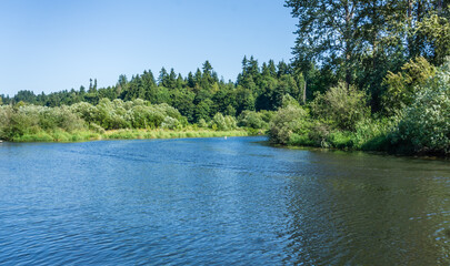Fototapeta premium Sammamish River Landscape 2