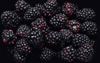 Close-up studio picture of fresh blackberries, pattern concept.