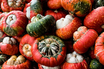 Heap of fresh orange pumpkins