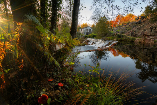 Natural landscape with red mushrooms with waterfall and water reflection at sunset in Mondim de Basto, Norte, Portugal