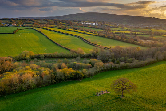 Rolling Dartmoor countryside in evening light in spring, Devon, England