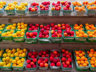 fresh fruits and vegetables at a market