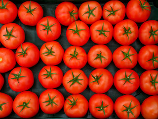 tray of fresh tomatoes