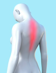 Obraz premium 3d render illustration of female figure with red inflammated spine area on blue background, neuropathologist clinic concept.