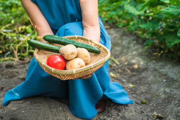 収獲した新鮮野菜を持つ女性