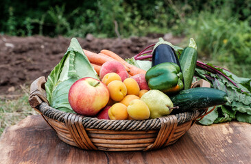basket full of organic vegetables and fruit
