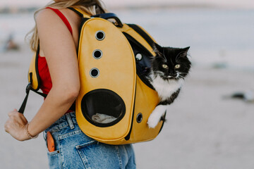 young woman with a cat in a backpack on the seashore. Travel concept with a pet. Cat in the...
