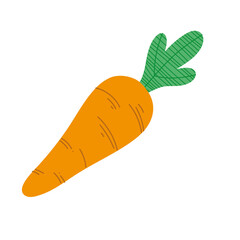 carrot fresh vegetable