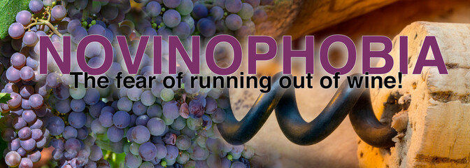 NOVINOPHOBIA - the fear of running out of wine.