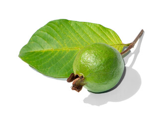 Close up Guava and leaves with shadow on white background.