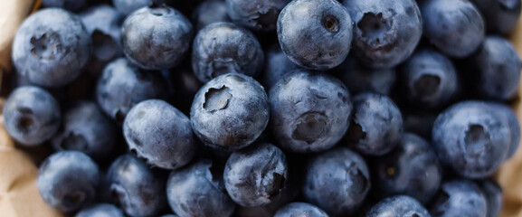 A lot of beautiful juicy fresh summer blueberries for background