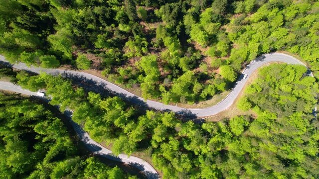 AERIAL: Cars on leisurely road trip in the Slovenian woods drive along an empty road with sharp turns. Flying above a switchback road running across an idyllic green forest. Scenic forest route.