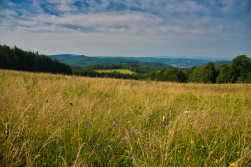 Obraz premium Thüringer Wald bei Struth-Helmersdorf