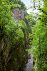 Akhsinta canyon (Urukh canyon). Digorskoe gorge. North Ossetia. Russia.