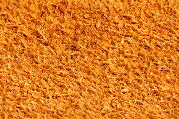 Zoomed in image of the Bacteria Forests of the Yellowstone National Park Opal Pools