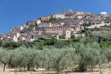 TREVI 15-07-2021. Veduta di Trevi con alberi di ulivi.