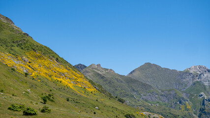 Fototapeta na wymiar Hermosa vista del Valle de Otal con montañas y colinas verdes