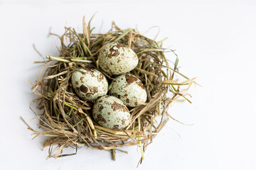 quail eggs in a nest