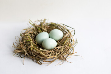 Naklejka na ściany i meble quail eggs in a nest