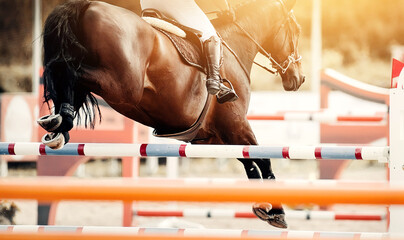 The bay horse overcomes an obstacle.Show jumping - 447342090