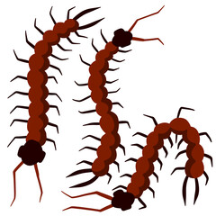 Earwig. Nasty insect. Centipede and millipede. Long caterpillar with spikes.