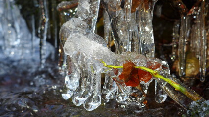 Beautiful icicles on a frozen mountain stream