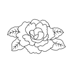 Isolated outline of a flower Vector illustration