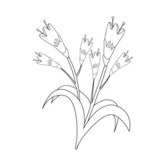 Isolated outline of a flower Vector illustration