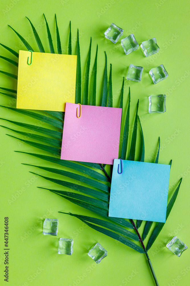 Fototapete Tropical green background with exotic tropical palm leaf. Ice cubes. Blank colorful cards with space for text, Minimal summer concept, work motivation. escape from the office, integration trip, Flat