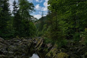 Oker Flussbett im Okertal. Nationalpark Harz
