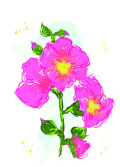 hand drawn of pink marshmallow flowers