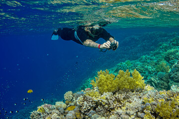 scuba diver in the sea