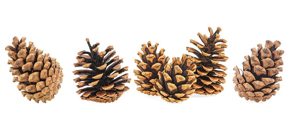 Set of pine cones isolated on a white background. Christmas decoration. - obrazy, fototapety, plakaty